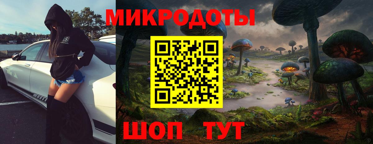 наркота  Вход с VPN  Карачаевск  Галлюциногенные грибы Magic Shrooms 
